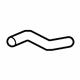 GM 19130480 Upper Hose