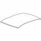 GM 23387898 Roof Panel