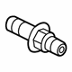 GM 19317942 Oil Cooler Bolt