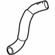 GM 26215482 Lower Hose