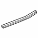 GM 84362005 Belt Weatherstrip, Rear Driver Side
