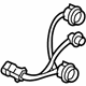 GM 15869348 Socket & Wire