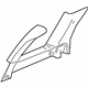 GM 15158464 Window Molding, Passenger Side