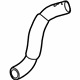 GM 39096729 Lower Hose