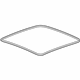 GM 84310441 Outer Weatherstrip