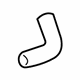 GM 25793825 Lower Hose