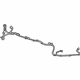GM 39018644 Harness, Rear