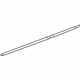 GM 25911895 Lower Weatherstrip, Driver Side