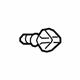 GM 13303883 Check Valve
