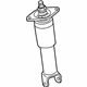 GM 10431991 Shock Absorber