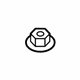 GM 19316156 Finish Molding Nut