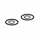 GM 11518528 Rail Assembly Nut, Rear