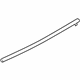 GM 22834354 Belt Weatherstrip, Rear Outer Driver Side