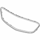 GM 13496183 Grille Surround