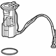 GM 13506689 Fuel Pump, Passenger Side