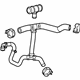 GM 84566988 Upper Hose
