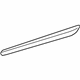 GM 22760263 Body Side Molding, Rear Center Driver Side