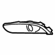 GM 13416573 Lamp Cover, Driver Side