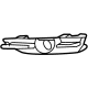 GM 42615792 Bezel, Driver Side