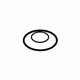 GM 25191278 Magnet