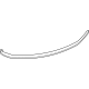 GM 23429037 Weatherstrip, Rear