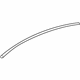 GM 25813091 Drip Molding, Driver Side