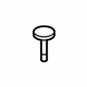 GM 10306805 Tray Rivet, Rear