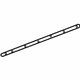 GM 23253596 Lower Seal, Driver Side