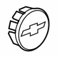 GM 95258570 Center Cap