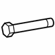 GM 11601736 Alignment Cam Bolt, Driver Side