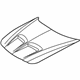GM 12498263 Hood