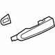 GM 13577717 Handle, Outside, Front