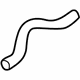GM 10433814 Lower Hose