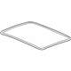 GM 20929619 Outer Weatherstrip