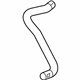 GM 84819090 Lower Hose