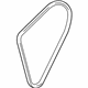 GM 19370621 Water Pump Belt