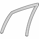 GM 92256497 Run Weatherstrip