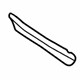 GM 39020289 Molding Strip, Driver Side