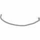 GM 20889251 Front Weatherstrip
