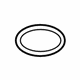 GM 96554008 Lower Seal