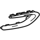 GM 42664205 Side Molding, Driver Side