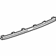 GM 23477993 Center Molding, Black