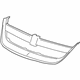 GM 15247433 Grille Surround, Front