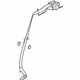 GM 19257568 Outer Belt, Rear Driver Side