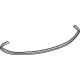 GM 84952581 Weatherstrip On Body, Rear