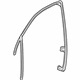 GM 23418123 Run Channel, Front Passenger Side
