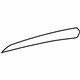 GM 20799498 Trim Molding, Front Driver Side