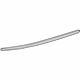 GM 20984897 Belt Weatherstrip, Front Outer