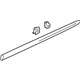 GM 23204999 Lower Molding, Passenger Side