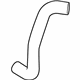 GM 19316320 Lower Hose